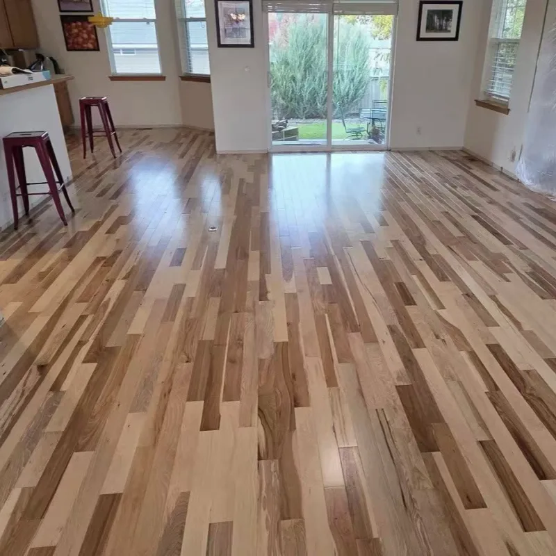 Canada Lakehead education group construction project